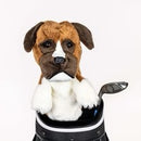 New Daphne's Boxer Headcover-1