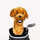 New Daphne's Golden Retriever Headcover-1